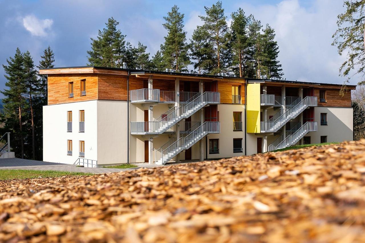 Lipnoport Apartment *
